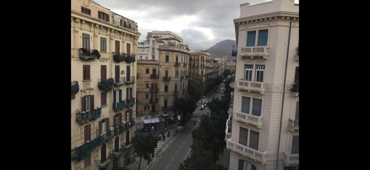 Due Cani باليرمو المظهر الخارجي الصورة