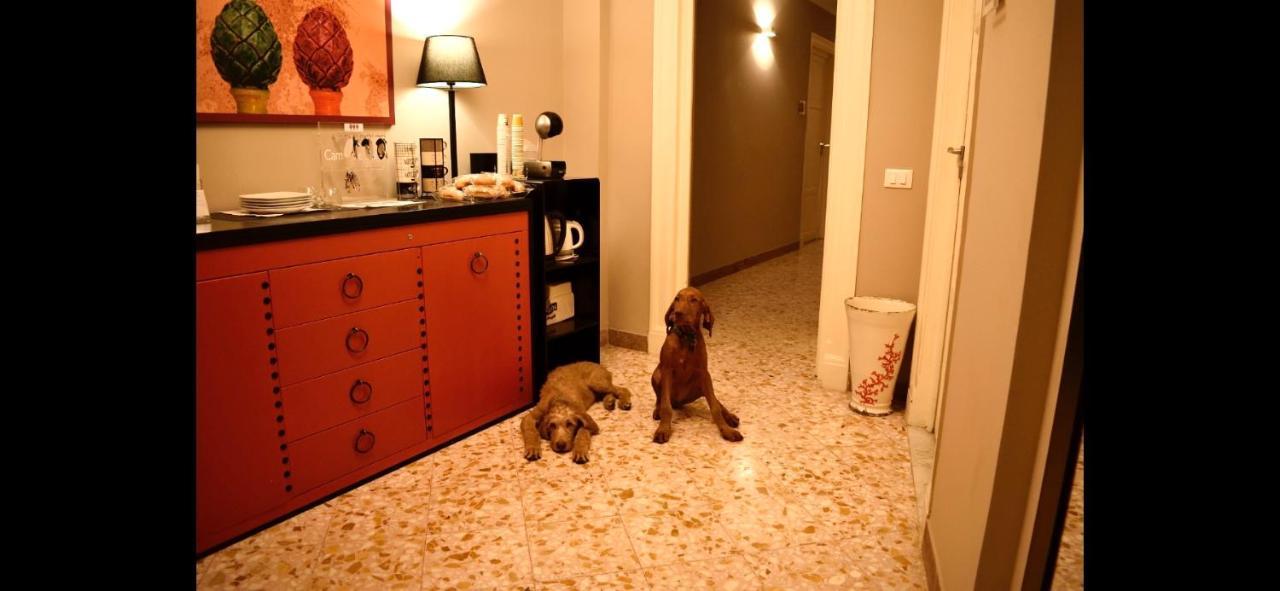 Due Cani باليرمو المظهر الخارجي الصورة